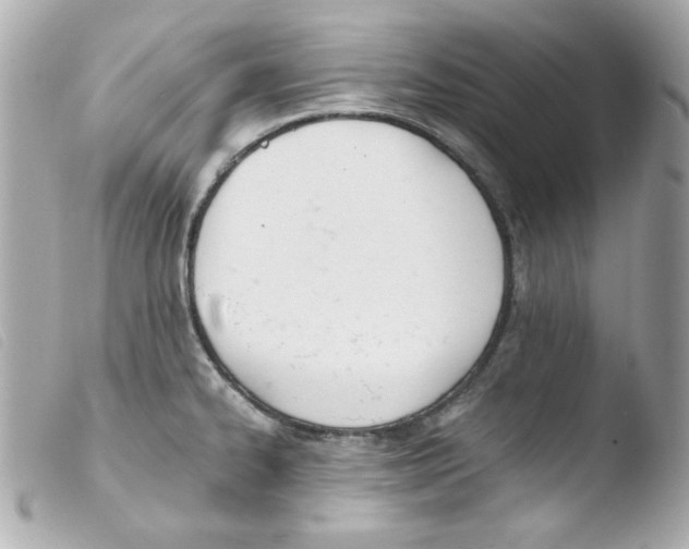 X0000103501334200810101038