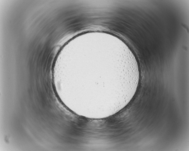 X0000103501335200810101038