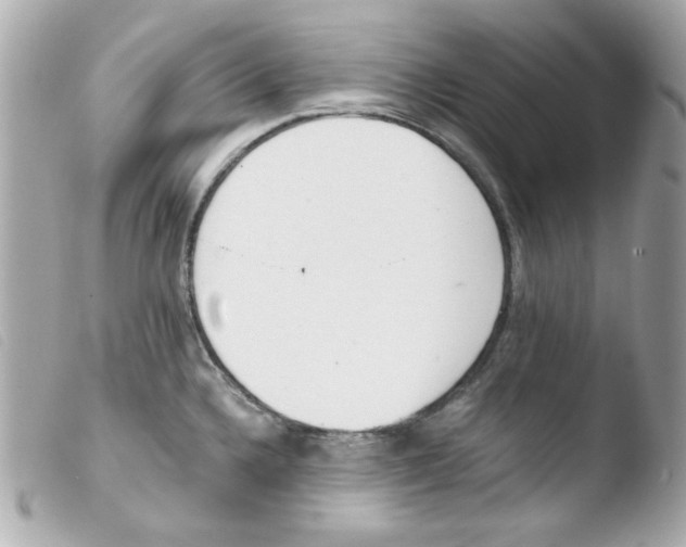 X0000103501336200810101038