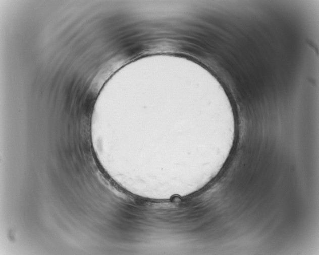 X0000103501337200810101038