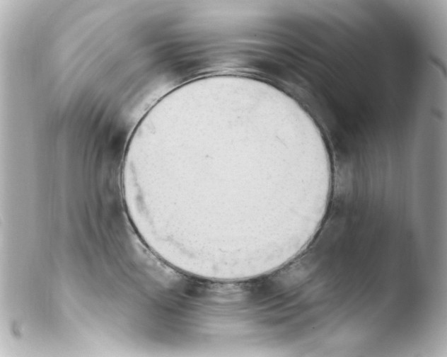 X0000103501338200810101038