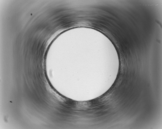 X0000103501339200810101038