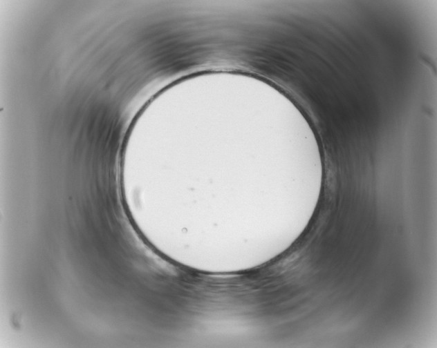 X0000103501343200810101038