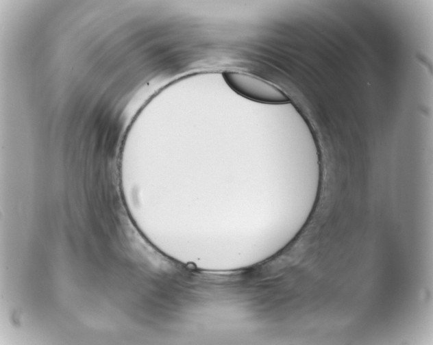 X0000103501344200810101038