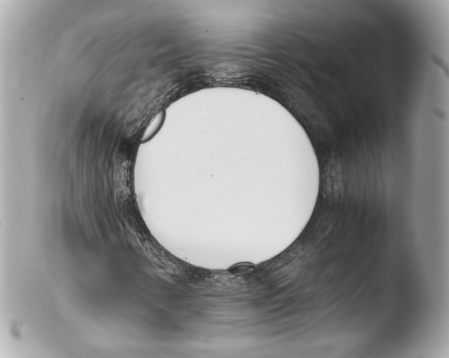 X0000103501346200810101037