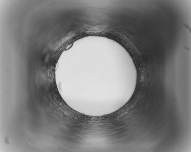 X0000103501350200810101037