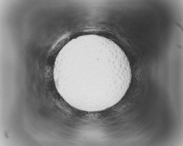 X0000103501351200810101037