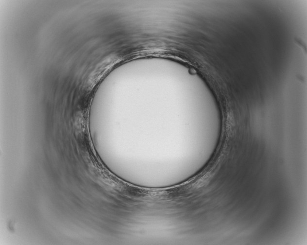 X0000103501353200810101037