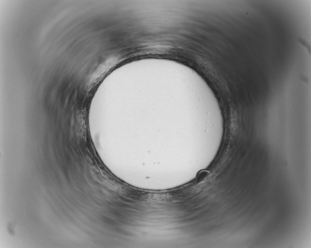 X0000103501354200810101037