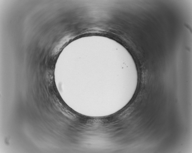 X0000103501355200810101037