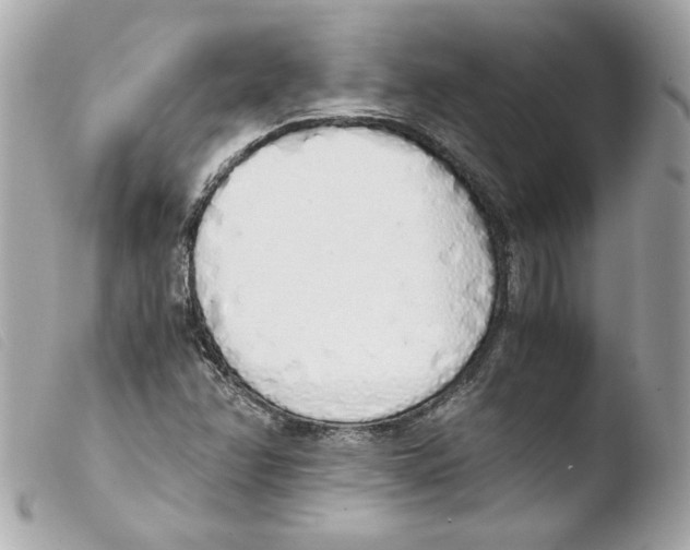 X0000103501358200810101037