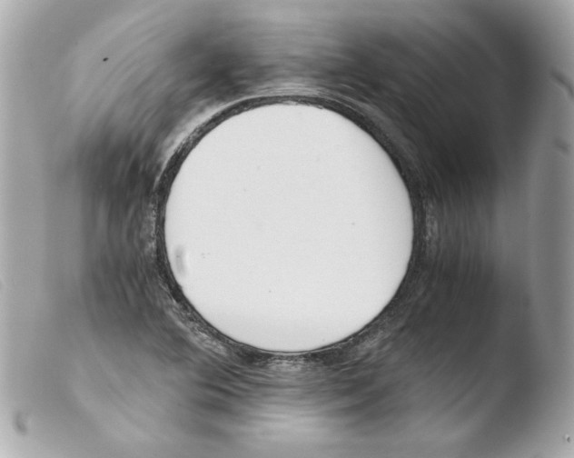 X0000103501364200810101036