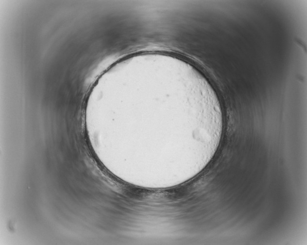 X0000103501367200810101036