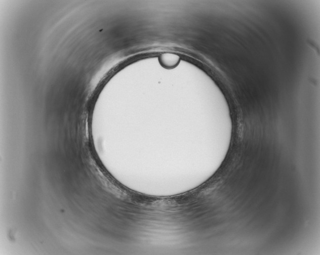 X0000103501368200810101036