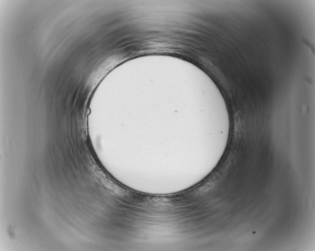 X0000103501370200810101036