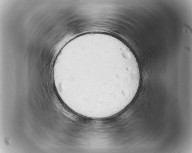 X0000103501371200810101036