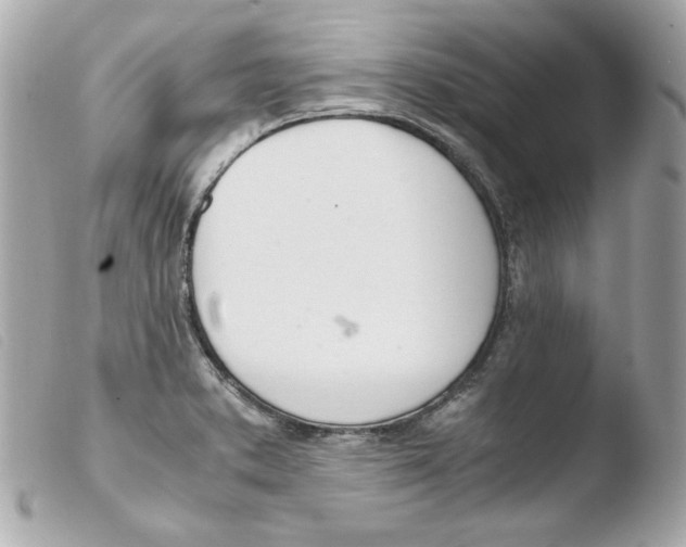 X0000103501373200810101036