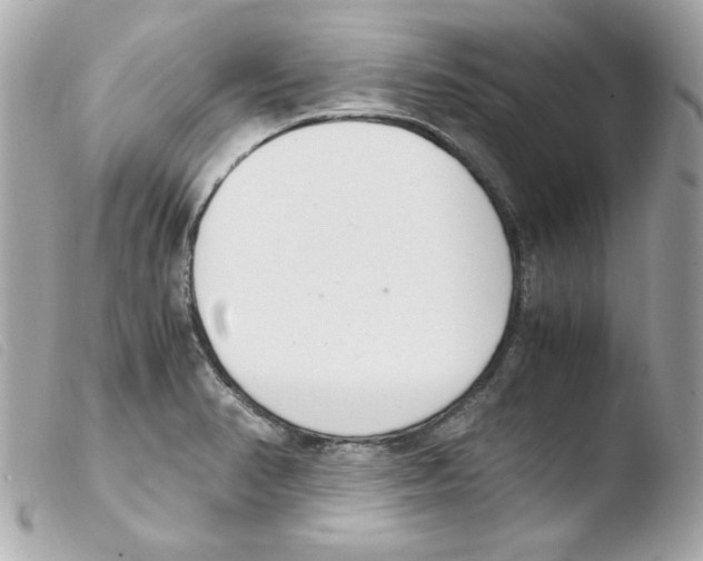 X0000103501374200810101036