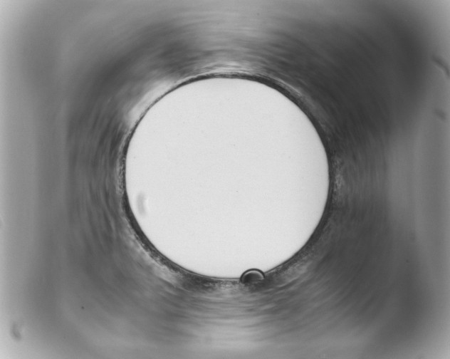 X0000103501375200810101036