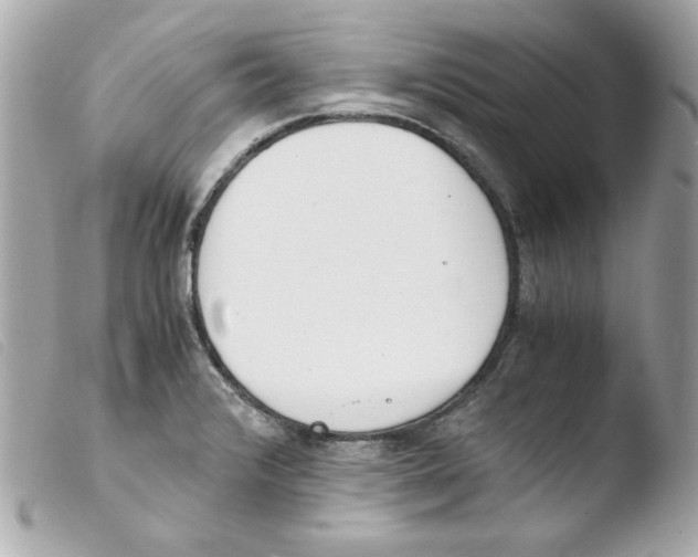 X0000103501376200810101036