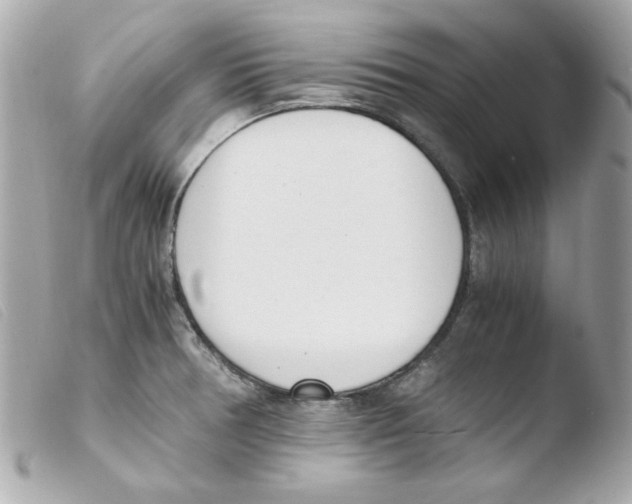 X0000103501378200810101036