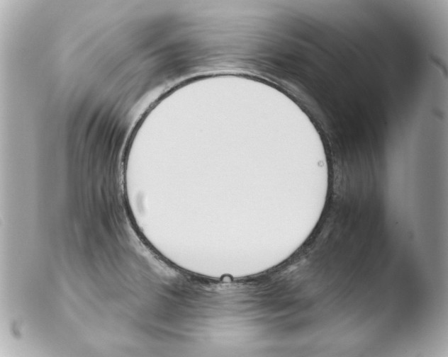 X0000103501380200810101036