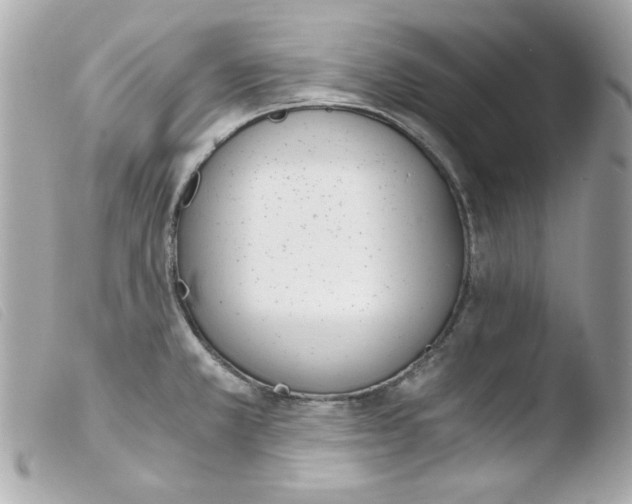 X0000103501381200810101036