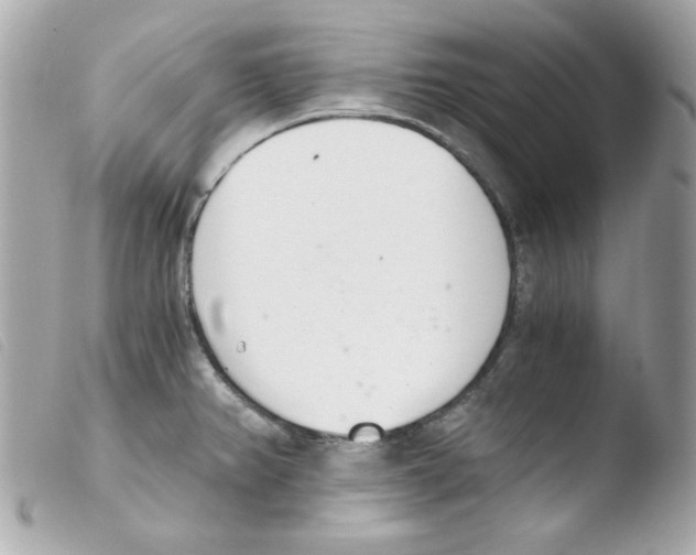 X0000103501382200810101036