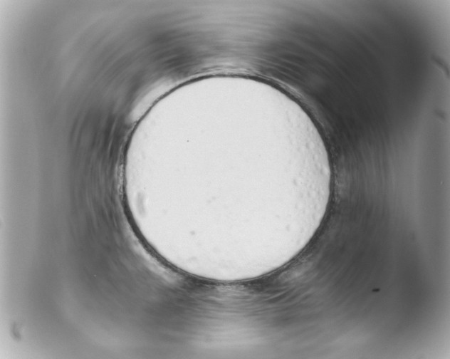 X0000103501383200810101036