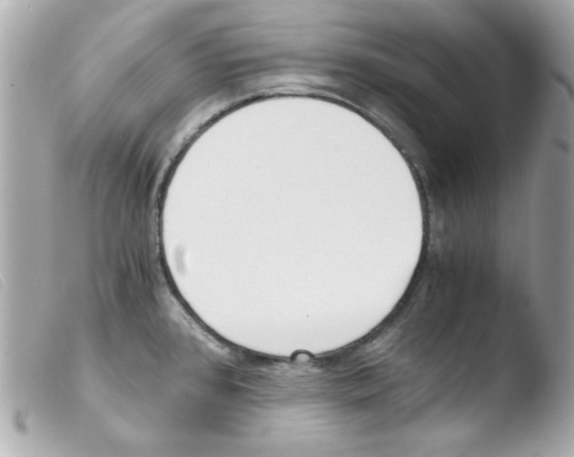 X0000103501384200810101036