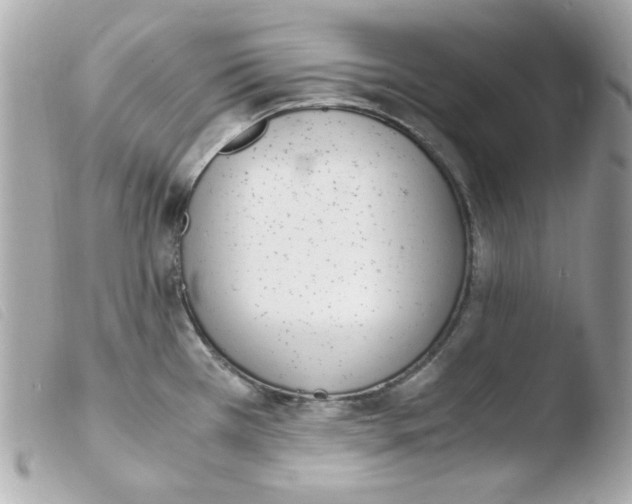 X0000103501385200810101036