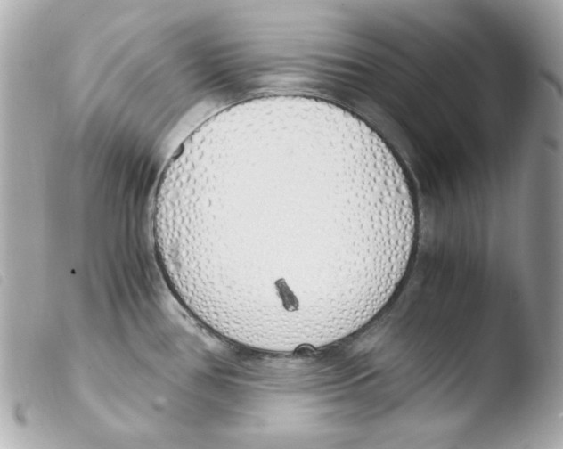 X0000103501386200810101036