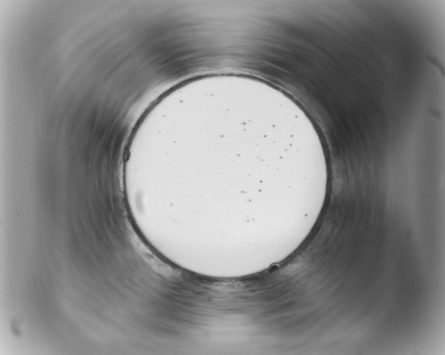 X0000103501388200810101036