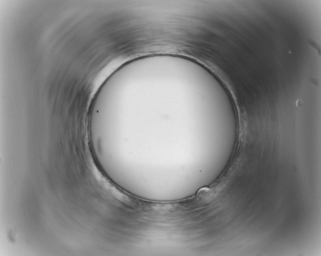 X0000103501389200810101036