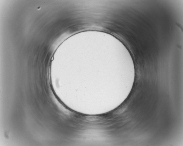 X0000103501391200810101036