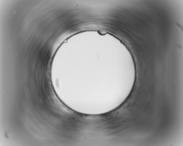 X0000103501392200810101036