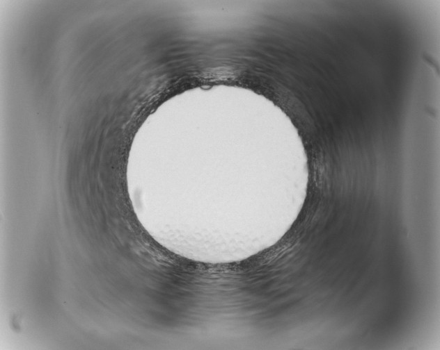 X0000103501393200810101035