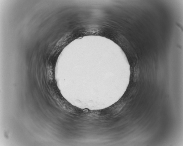 X0000103501394200810101035