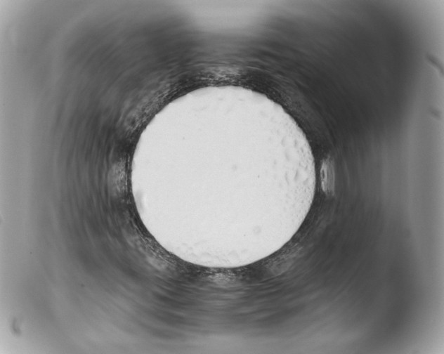 X0000103501395200810101035