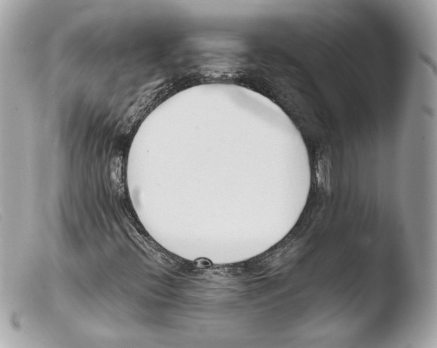 X0000103501396200810101035