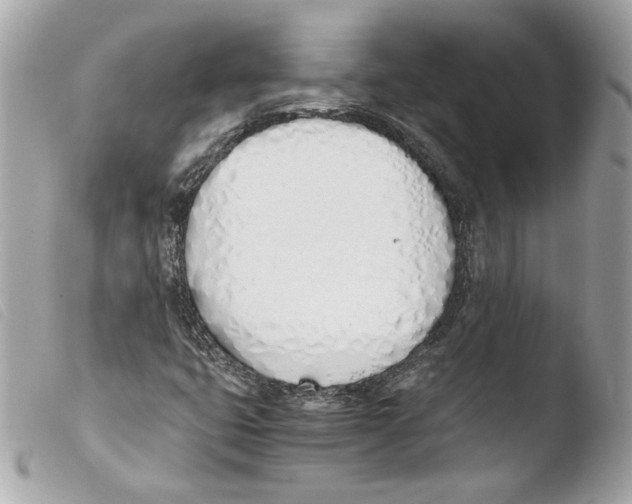 X0000103501399200810101035