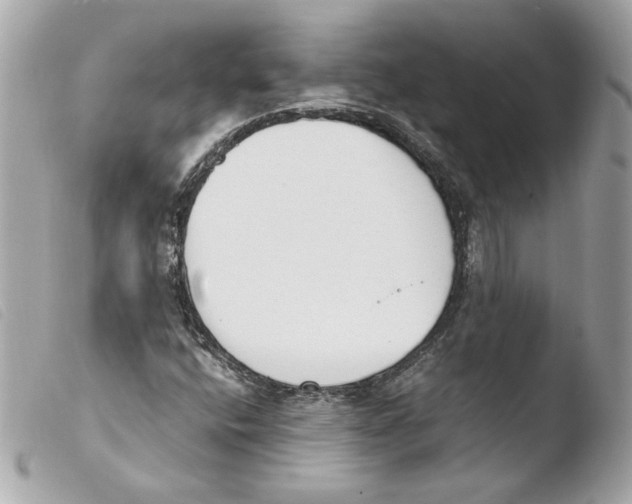 X0000103501400200810101035