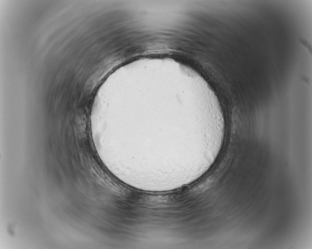 X0000103501401200810101035