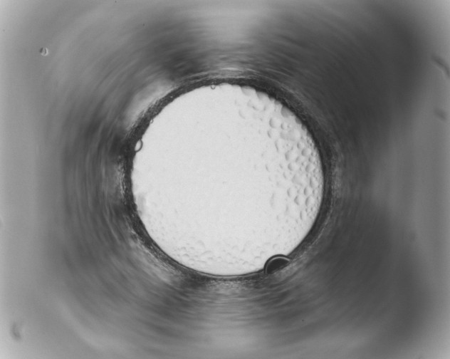 X0000103501402200810101036