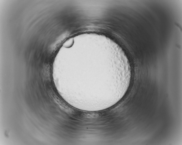 X0000103501403200810101036