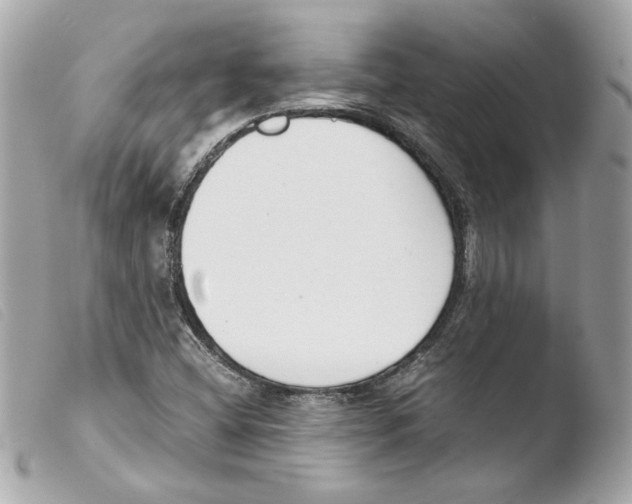 X0000103501404200810101036