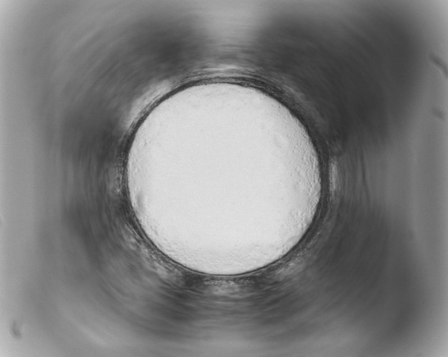 X0000103501405200810101036