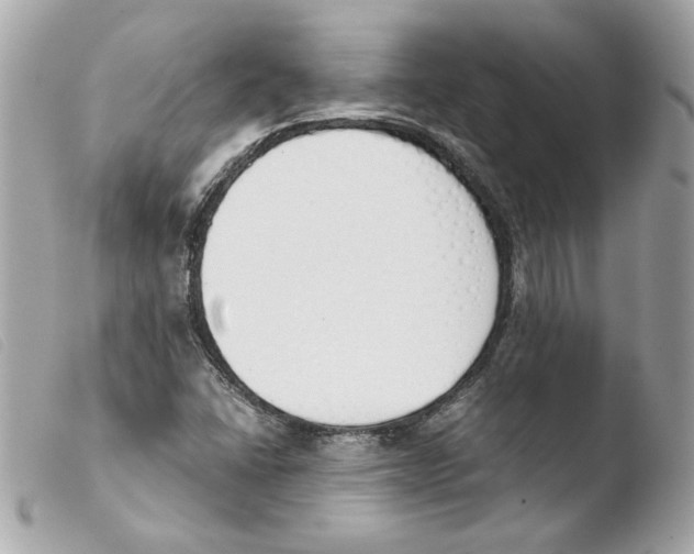 X0000103501406200810101036