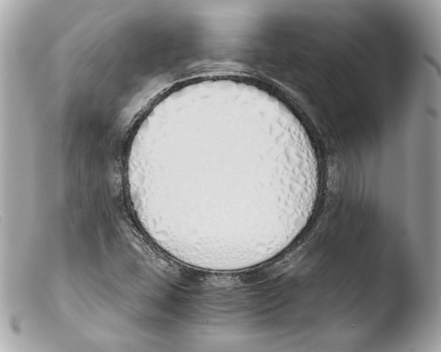 X0000103501407200810101036