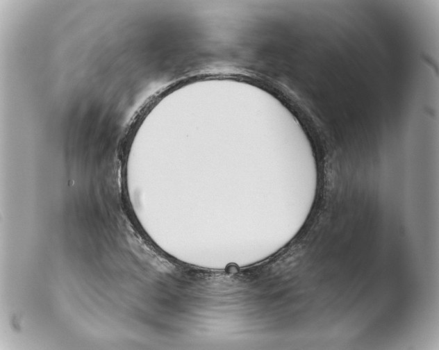 X0000103501408200810101036